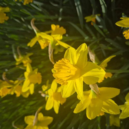 Spring Reset: Why It’s Time to Refresh Your Insurance as Well as Your Home Spring isn’t just for cleaning your home — it’s the perfect time to refresh your insurance too. Life changes over winter, from renovations and new purchases to home office setups, can affect your coverage. This blog highlights why reviewing policies, notifying your broker of updates, and ensuring your protection matches your current lifestyle is essential for peace of mind and a smooth start to the season.