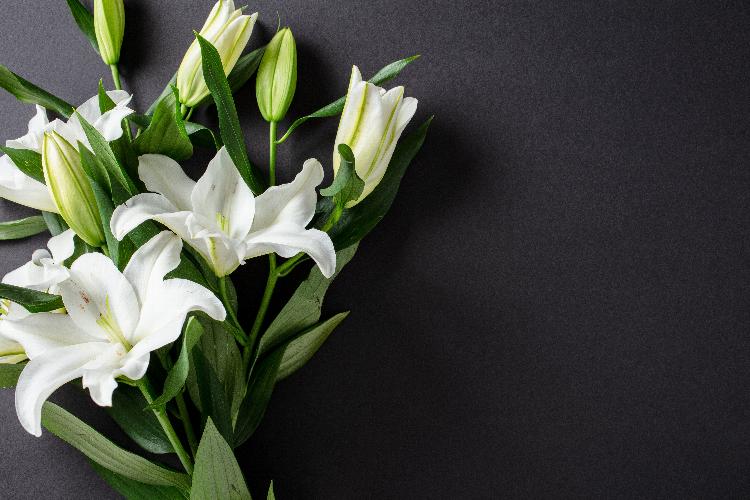 Funeral Directors Insurance With a sector as unique as the Funeral industry, a tailored insurance solution is vital to protect against the risks faced by funeral directors today and tomorrow. 